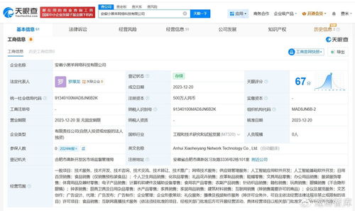 揭秘三只羊美國上市關(guān)聯(lián)公司 網(wǎng)絡(luò)技術(shù)服務(wù)如何賦能直播電商生態(tài)